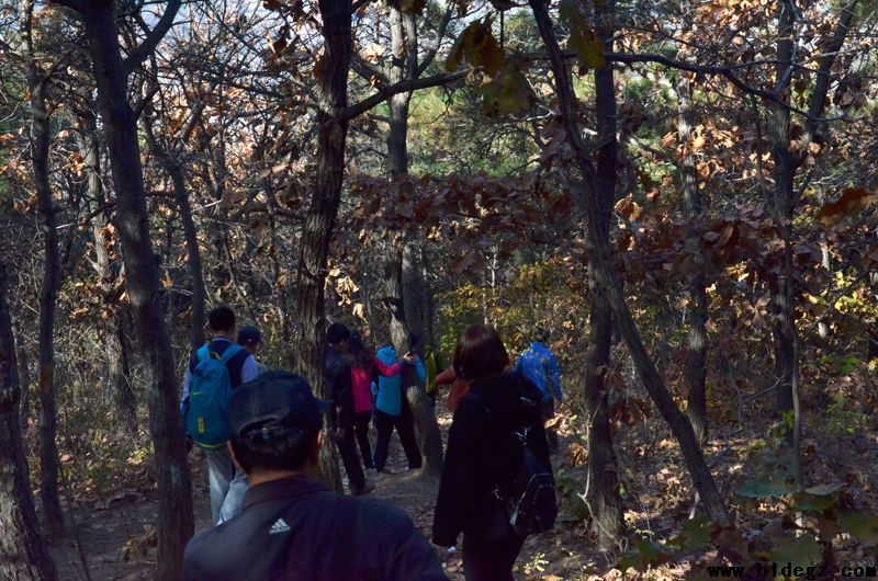 品首山晚秋，强自身筋骨 ——记我校工会组织教工清游首山