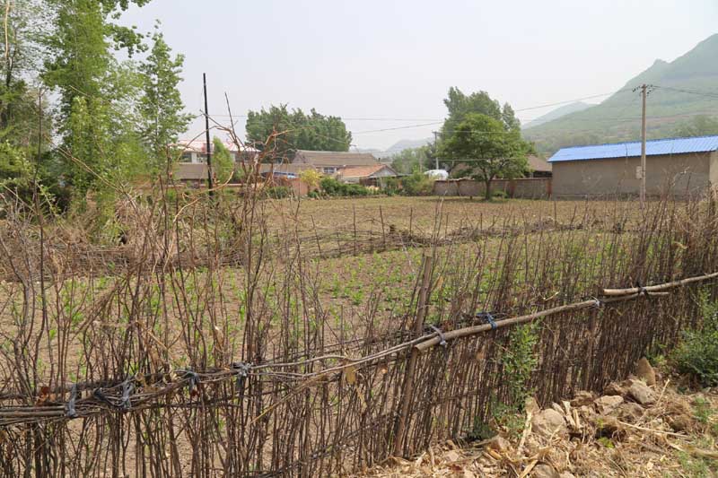 助力乡村振兴 走近建昌贫困村