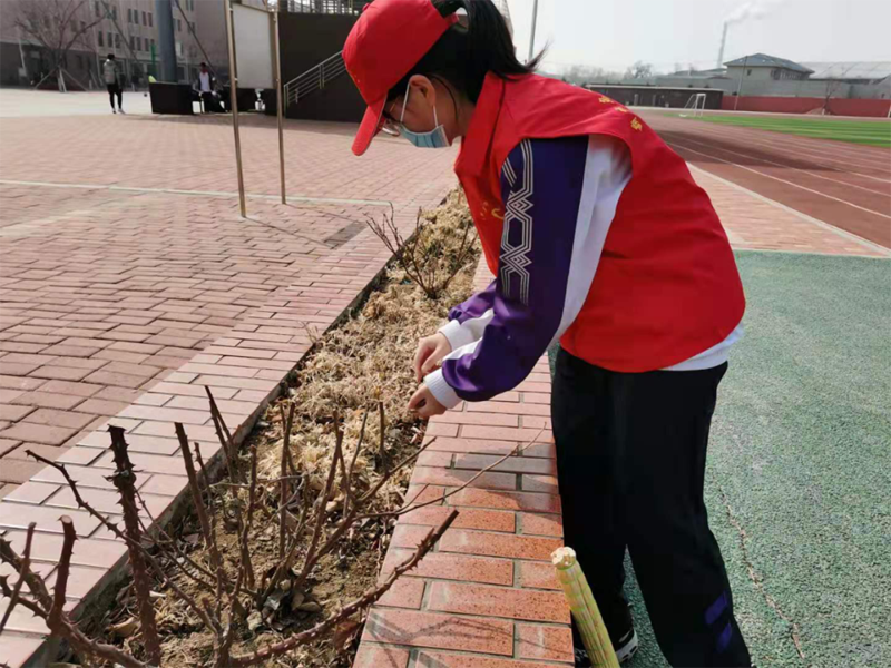 雷锋精神我传承，青春闪耀新时代——葫芦岛市第二高级中学开展学雷锋志愿服务活动