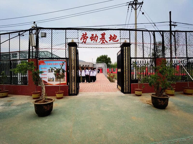 弘扬劳动精神 激发劳动热情